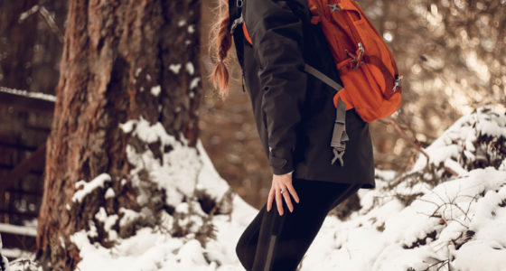 A Snowy Hike In The Woods