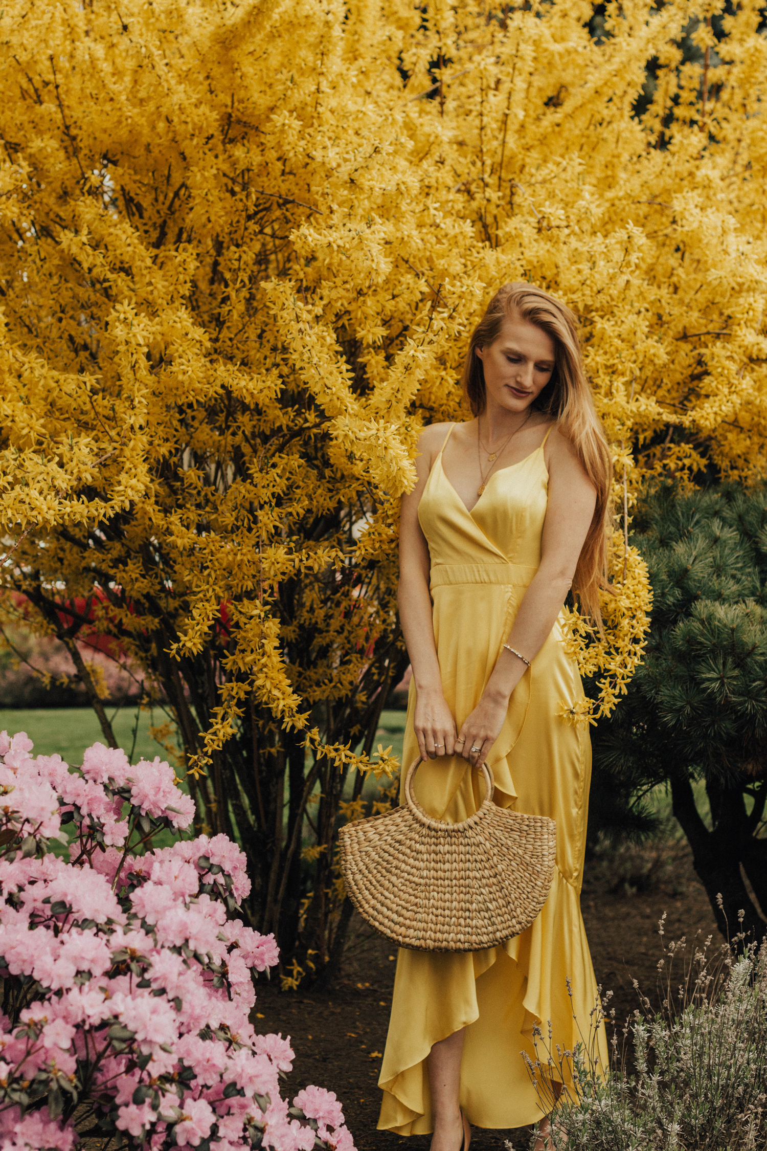 Yellow Dress for Spring and Summer by Laundry by Shelli Segal Forsythia Bush Cherry Blossoms Spring Bloom
